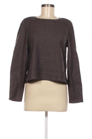 Damen Shirt Kookai, Größe S, Farbe Braun, Preis 8,35 €