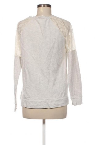 Damen Shirt Koton, Größe M, Farbe Mehrfarbig, Preis € 10,82