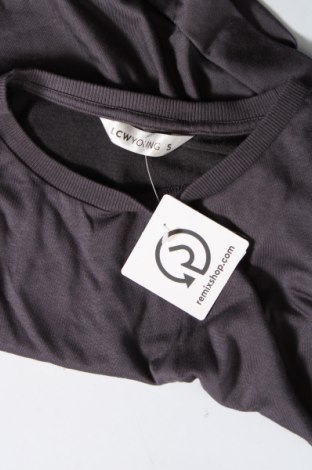 Damen Shirt LCW, Größe S, Farbe Grau, Preis 2,33 €