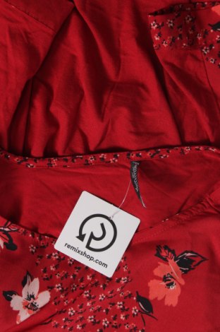 Damen Shirt Laura Torelli, Größe L, Farbe Rot, Preis 3,31 €