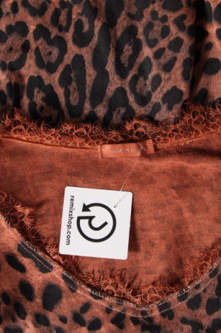 Damen Shirt Made In Italy, Größe M, Farbe Orange, Preis € 4,36