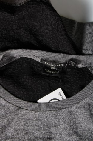 Damen Shirt Maison Scotch, Größe XL, Farbe Grau, Preis € 47,49