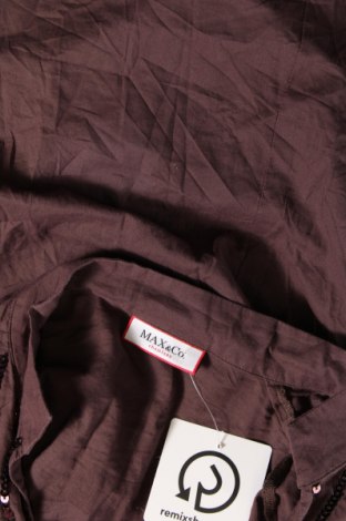 Γυναικεία μπλούζα Max&Co., Μέγεθος S, Χρώμα Καφέ, Τιμή 18,99 €