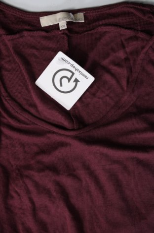 Γυναικεία μπλούζα Monk & Lou, Μέγεθος XXS, Χρώμα Βιολετί, Τιμή 1,76 €