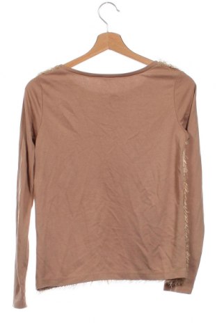 Γυναικεία μπλούζα Motivi, Μέγεθος XS, Χρώμα Πολύχρωμο, Τιμή 10,53 €