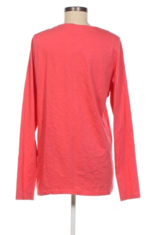 Γυναικεία μπλούζα Okay, Μέγεθος XXL, Χρώμα Ρόζ , Τιμή 10,69 €