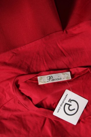 Damen Shirt Paccio, Größe L, Farbe Rot, Preis 1,56 €