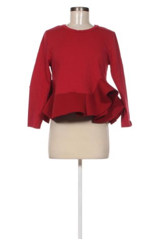 Γυναικεία μπλούζα Paccio, Μέγεθος L, Χρώμα Κόκκινο, Τιμή 4,96 €