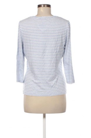 Γυναικεία μπλούζα Peter Hahn, Μέγεθος M, Χρώμα Πολύχρωμο, Τιμή 9,80 €