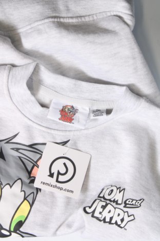 Γυναικεία μπλούζα Primark, Μέγεθος XXS, Χρώμα Γκρί, Τιμή 11,75 €