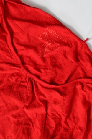 Damen Shirt Q/S by S.Oliver, Größe M, Farbe Rot, Preis 7,10 €