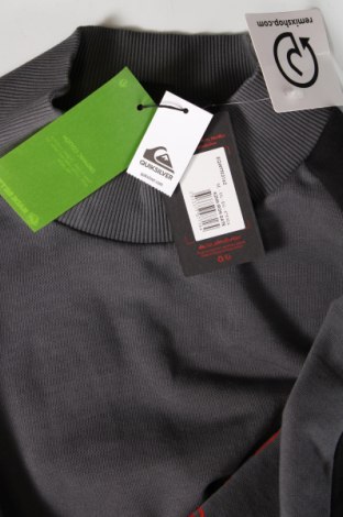 Γυναικεία μπλούζα Quiksilver, Μέγεθος XL, Χρώμα Γκρί, Τιμή 22,62 €
