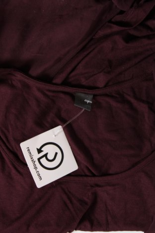 Γυναικεία μπλούζα S.Oliver, Μέγεθος XS, Χρώμα Βιολετί, Τιμή 3,15 €