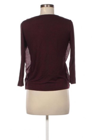 Γυναικεία μπλούζα S.Oliver, Μέγεθος XS, Χρώμα Βιολετί, Τιμή 3,15 €