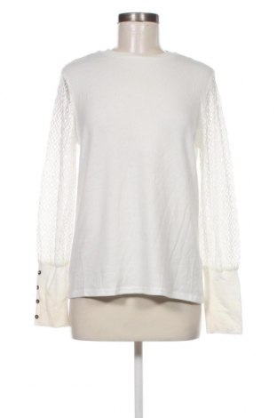 Damen Shirt SHEIN, Größe M, Farbe Weiß, Preis € 1,98