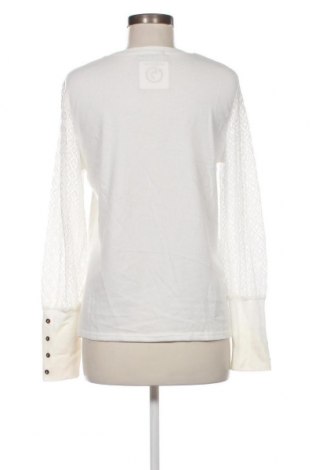 Damen Shirt SHEIN, Größe M, Farbe Weiß, Preis 1,98 €