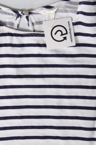 Damen Shirt Springfield, Größe S, Farbe Mehrfarbig, Preis € 23,71