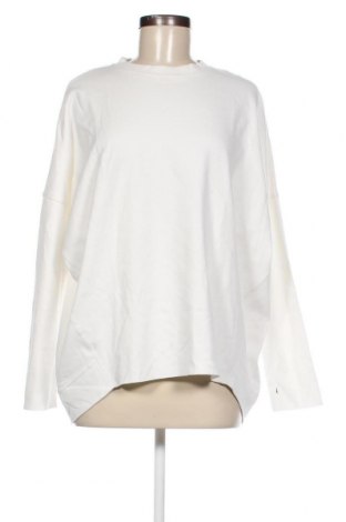 Damen Shirt Stefanel, Größe M, Farbe Weiß, Preis 68,88 €