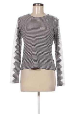 Γυναικεία μπλούζα Superdry, Μέγεθος M, Χρώμα Πολύχρωμο, Τιμή 8,64 €