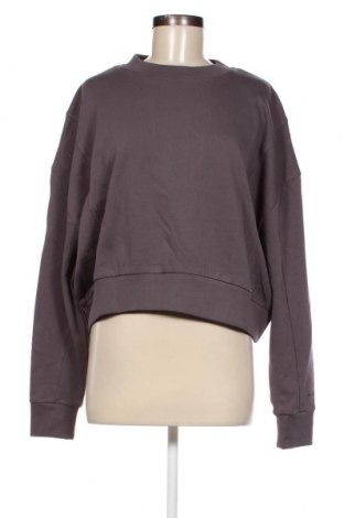 Damen Shirt Superdry, Größe M, Farbe Grau, Preis € 10,46