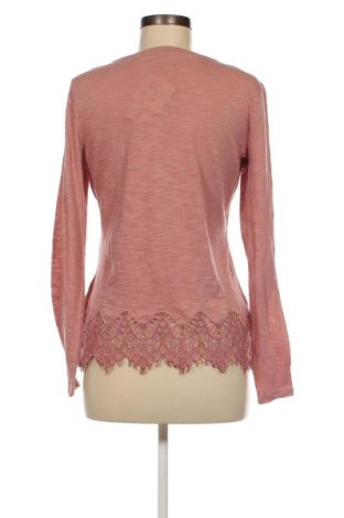 Γυναικεία μπλούζα Superdry, Μέγεθος M, Χρώμα Ρόζ , Τιμή 29,22 €