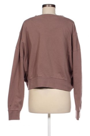 Damen Shirt Superdry, Größe M, Farbe Braun, Preis € 29,95