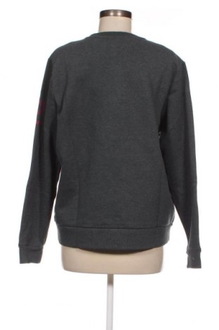 Damen Shirt Superdry, Größe L, Farbe Grau, Preis € 36,08