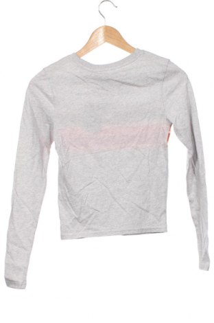 Γυναικεία μπλούζα Superdry, Μέγεθος M, Χρώμα Γκρί, Τιμή 29,95 €