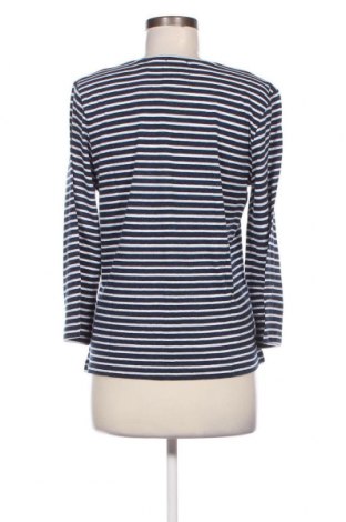 Γυναικεία μπλούζα Superdry, Μέγεθος L, Χρώμα Μπλέ, Τιμή 29,22 €