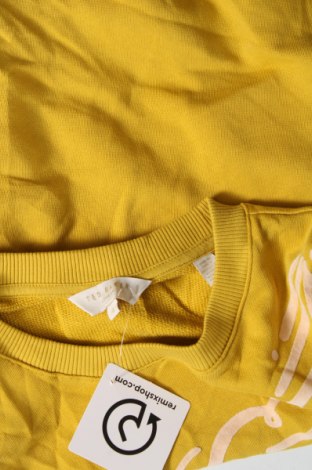Damen Shirt Ted Baker, Größe L, Farbe Gelb, Preis € 25,49
