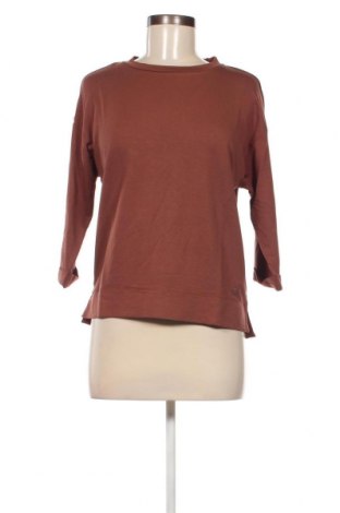 Γυναικεία μπλούζα Tom Tailor, Μέγεθος XS, Χρώμα Καφέ, Τιμή 17,86 €