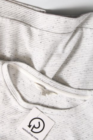 Γυναικεία μπλούζα Tom Tailor, Μέγεθος M, Χρώμα Γκρί, Τιμή 21,03 €