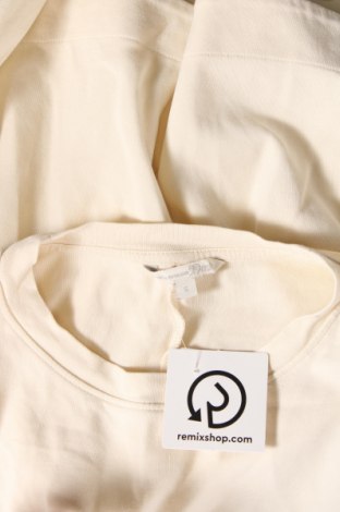 Γυναικεία μπλούζα Tom Tailor, Μέγεθος S, Χρώμα Εκρού, Τιμή 15,07 €