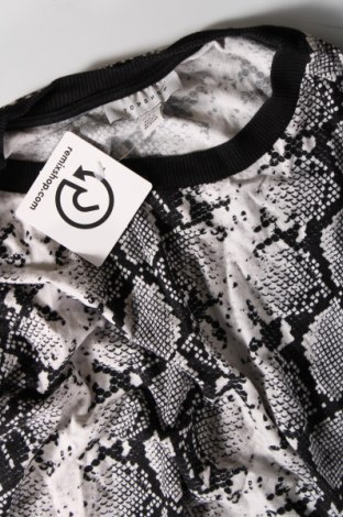 Γυναικεία μπλούζα Topshop, Μέγεθος M, Χρώμα Γκρί, Τιμή 3,15 €