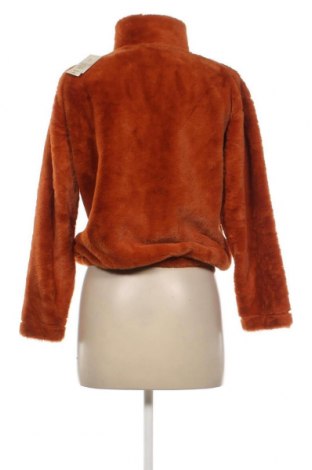 Γυναικεία μπλούζα Undiz, Μέγεθος XS, Χρώμα Πορτοκαλί, Τιμή 11,91 €