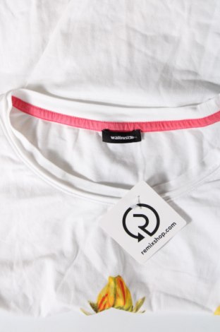 Γυναικεία μπλούζα Walbusch, Μέγεθος M, Χρώμα Λευκό, Τιμή 29,69 €