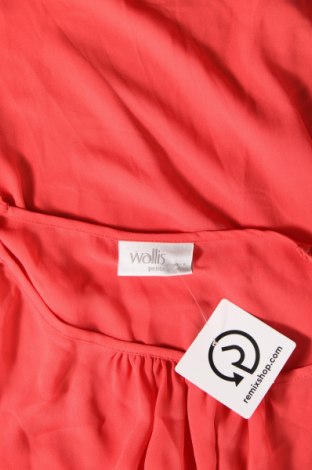 Γυναικεία μπλούζα Wallis, Μέγεθος S, Χρώμα Πορτοκαλί, Τιμή 8,89 €