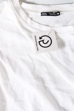 Damen Shirt Zara, Größe S, Farbe Weiß, Preis € 13,81