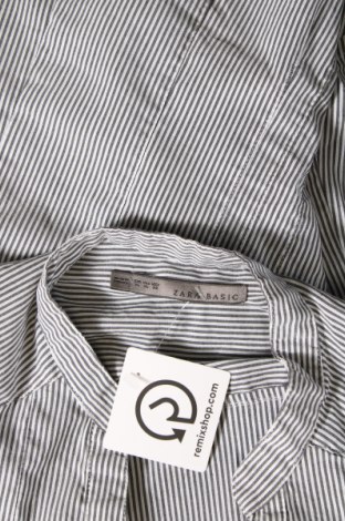 Damen Shirt Zara, Größe XL, Farbe Mehrfarbig, Preis 10,23 €