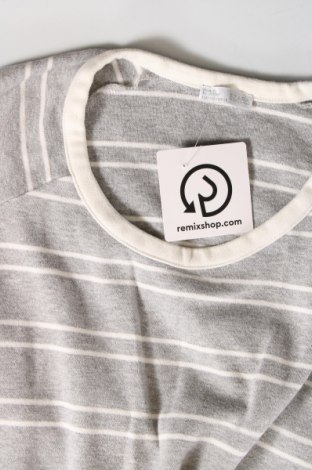 Damen Shirt Zara, Größe S, Farbe Grau, Preis 2,85 €