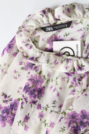 Damen Shirt Zara, Größe XL, Farbe Mehrfarbig, Preis € 8,40