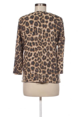 Γυναικεία μπλούζα Zara Trafaluc, Μέγεθος S, Χρώμα Πολύχρωμο, Τιμή 5,18 €