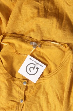 Damen Strickjacke Oviesse, Größe XL, Farbe Gelb, Preis € 8,68