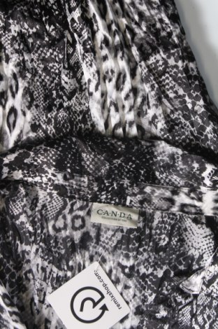 Γυναικείο πουκάμισο Canda, Μέγεθος L, Χρώμα Πολύχρωμο, Τιμή 4,02 €