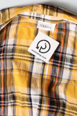 Γυναικείο πουκάμισο Canda, Μέγεθος M, Χρώμα Πολύχρωμο, Τιμή 23,86 €