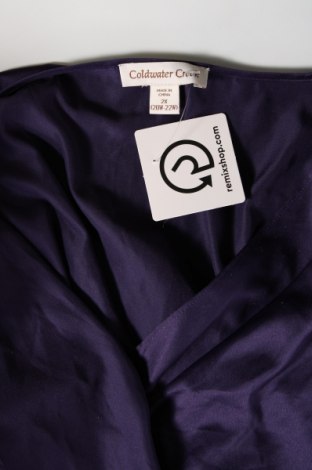 Γυναικείο πουκάμισο Coldwater Creek, Μέγεθος XXL, Χρώμα Βιολετί, Τιμή 10,46 €