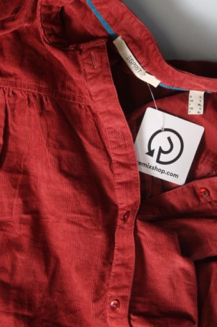 Dámska košeľa  Esprit, Veľkosť L, Farba Červená, Cena  2,89 €