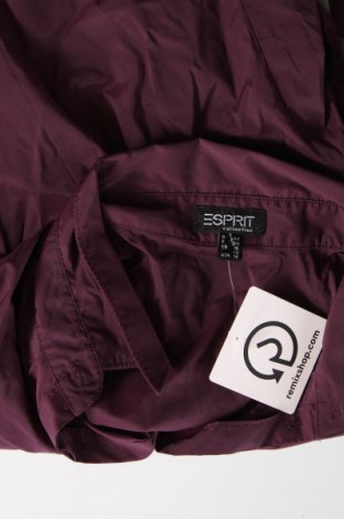 Dámská košile  Esprit, Velikost L, Barva Fialová, Cena  81,00 Kč