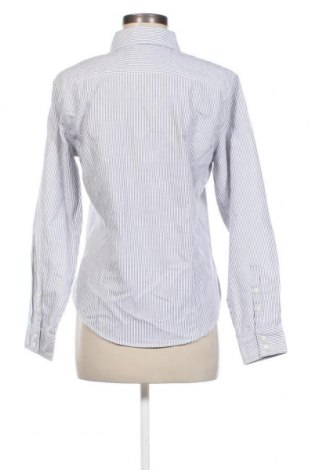 Γυναικείο πουκάμισο Park Lane, Μέγεθος M, Χρώμα Πολύχρωμο, Τιμή 6,51 €