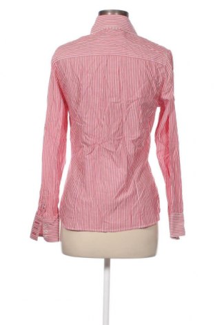 Dámska košeľa  River Woods, Veľkosť M, Farba Ružová, Cena  28,60 €